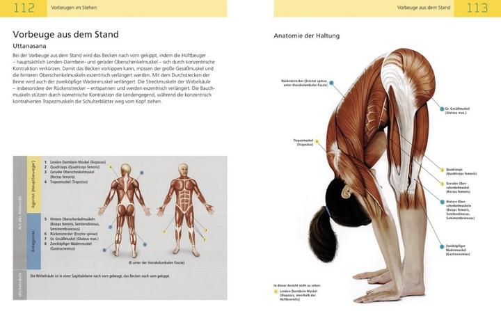 Produktbild Die Anatomie des Yoga (Deutsch, Sally Parkes, 2016)