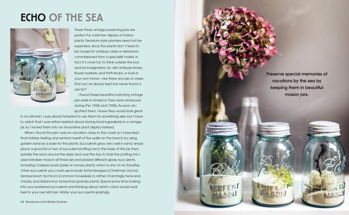 Actual product image Terrarium Imaginarium