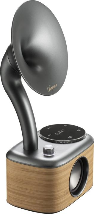 Actual product image Sangean CP 100D (DAB+, DAB, FM, Bluetooth)