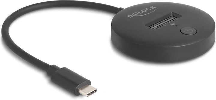 Delock M.2 docking station for M.2 NVMe / SATA SSD with USB 10