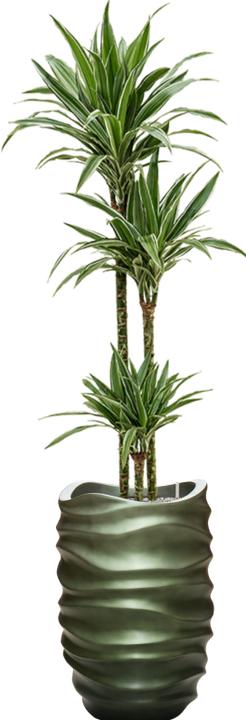 Produktbild Baq Design Gradient Lee Parnter (40 x 61 cm)