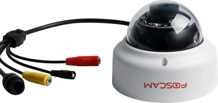 Actual product image Foscam D2EP Security Camera IP Security Camera Indoor & Outdoor Dome Ceiling/Wall 1920 x 1080 Pixel (1920 x 1080 Pixels)
