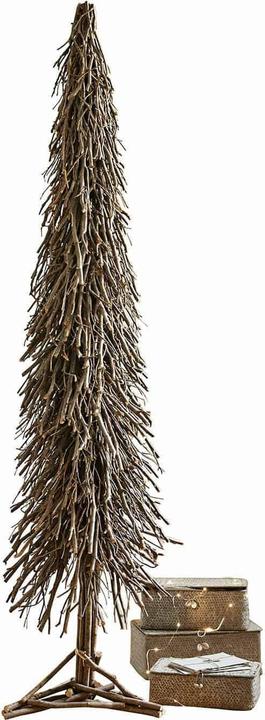 Actual product image Loberon Decorative tree Sullivan brown (160 cm)