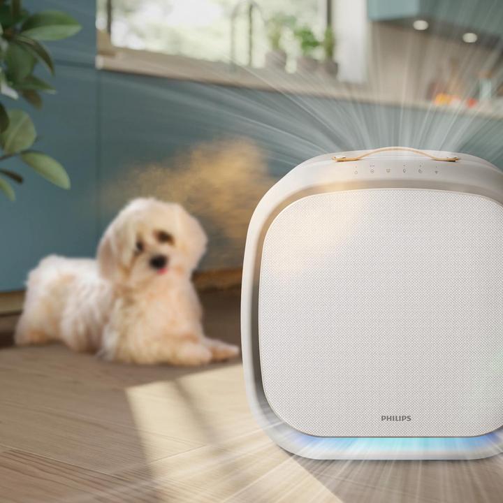 Actual product image Philips AC3360/11 (104 m²)