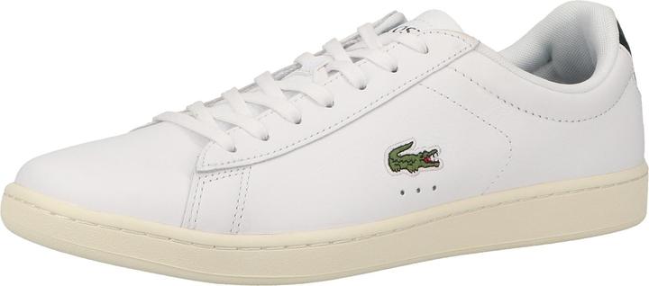 Lacoste Sneaker (43)