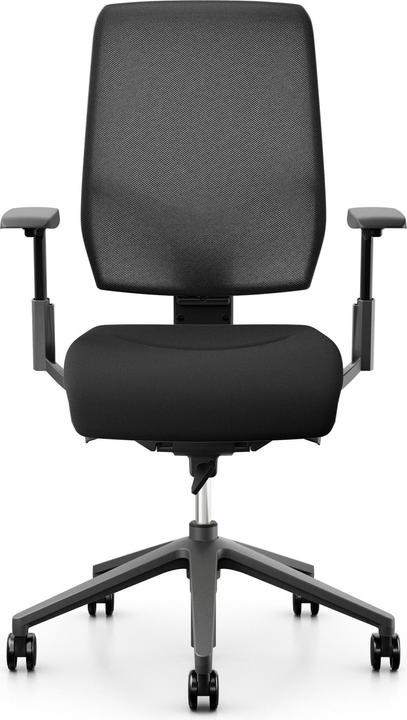 Actual product image Giroflex 68