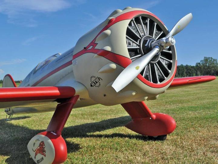 Actual product image Black Horse Gilmore Red Lion ARF / 2350mm ARF (Multi motor)