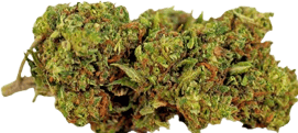 Image du produit Herba di Berna Pastèque extérieure 45g (45 g, Extérieur)