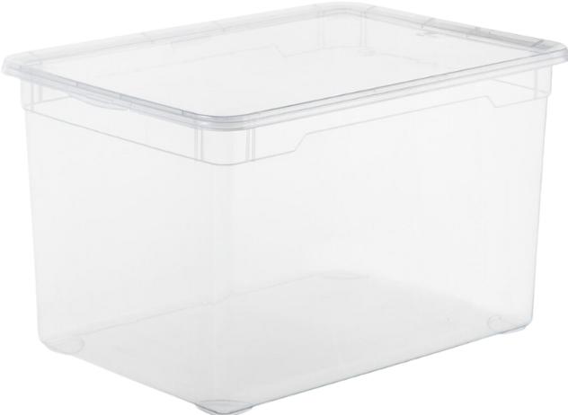 Image du produit Rotho Clair (55 x 37.5 x 32 cm, 46 l)
