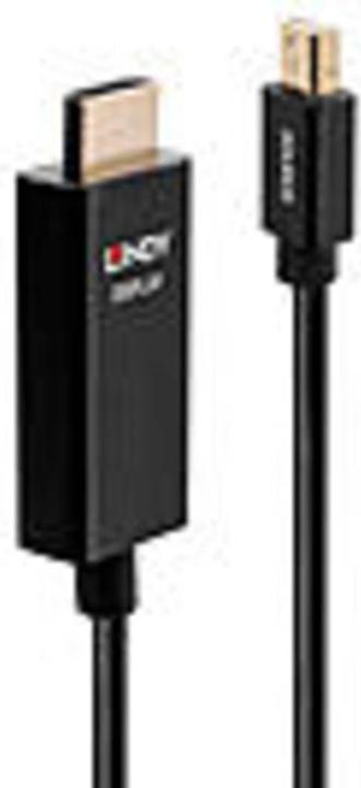 Actual product image Lindy Video cable DisplayPort / HDMI (3 m, Other, 2.0)
