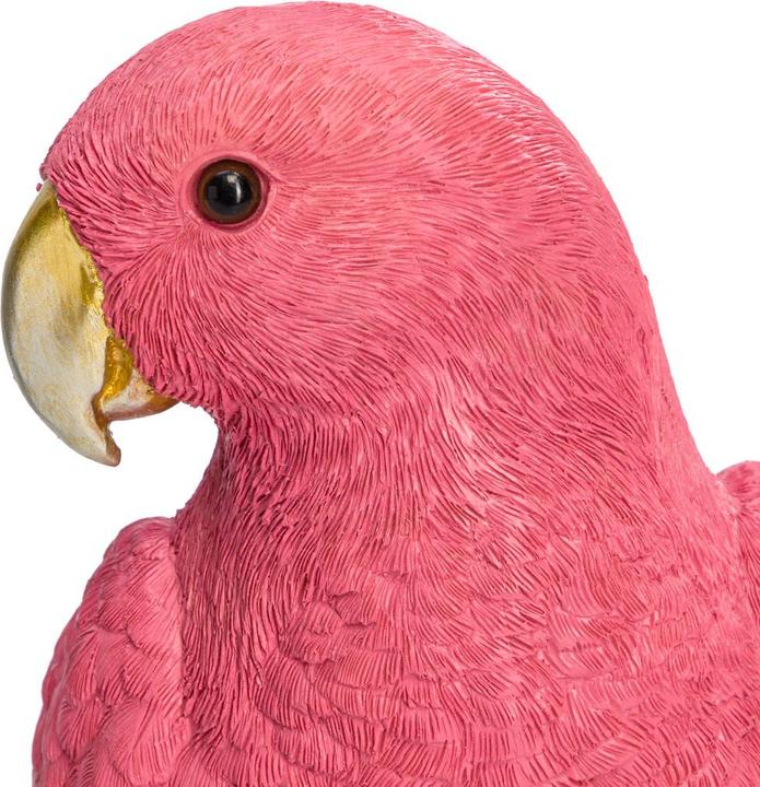 Actual product image BYYU Macaw