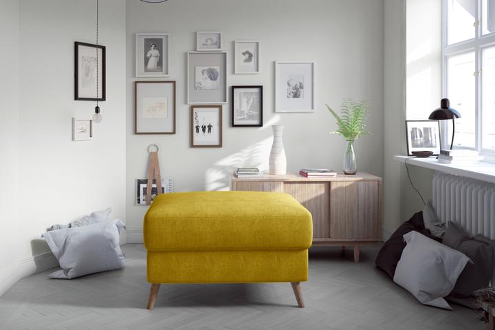 Actual product image ELTAP Asgard Pouf