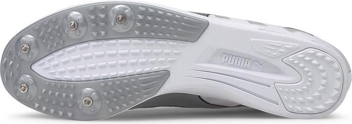 Image du produit Puma Chaussure à clous Evospeed Distance 9 Men (44)