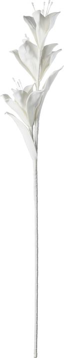 Actual product image EGLO LIVING Molave (85 cm)