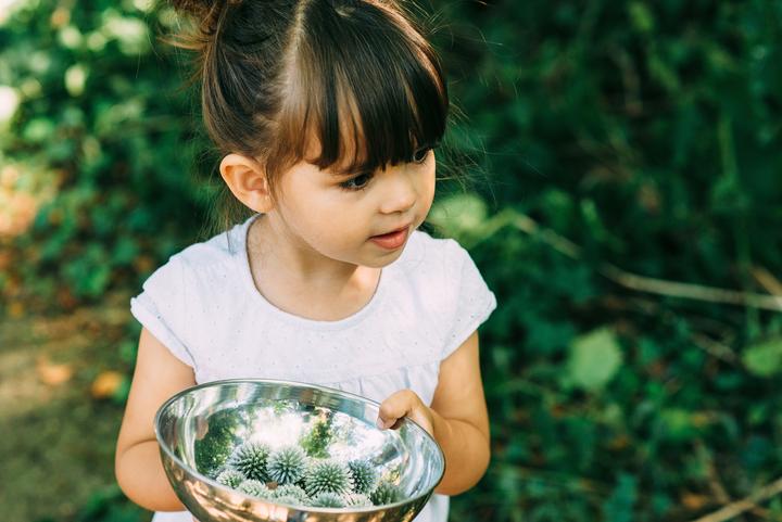 Produktbild Plum Discovery Küche