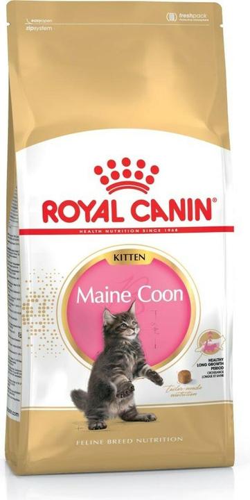 Image du produit Royal Canin Coon du Maine (Junior, 1 pcs, 4000 g)