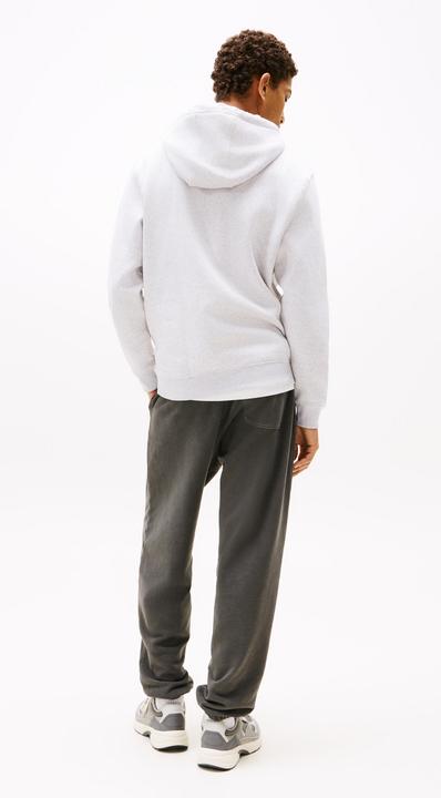 Actual product image Tommy Jeans Tjm Reg S Flag Hoodie (M)