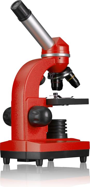 Actual product image Bresser Biolux SEL Student Microscope