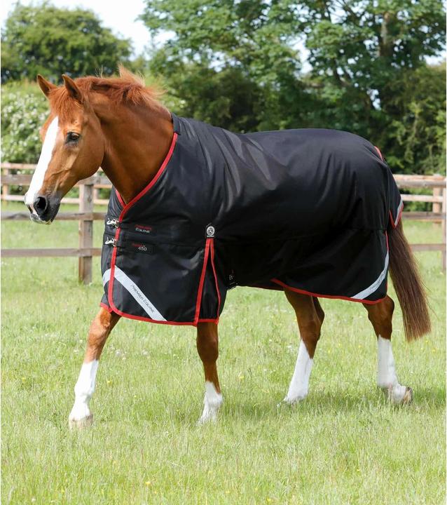 Image du produit Premier Equine Turnout Rug 450 g (160 cm)