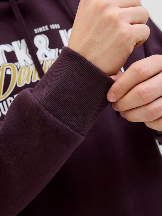 Actual product image Jack & Jones JJELOGO SWEAT HOOD 2 COL 25/26 NOOS (XXL)