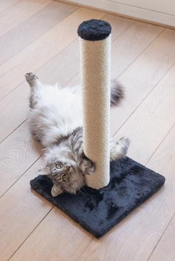 Produktbild Beeztees Katzenmöbel (60 cm, Schwarz)