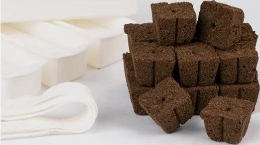 Immagine prodotto Véritable Seedling Kit