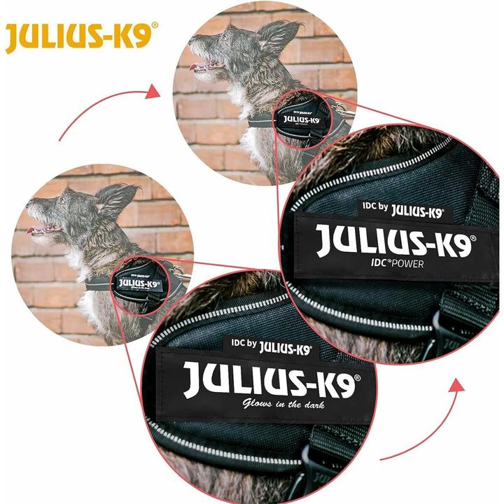 Actual product image Julius-K9 IDC Power Harness (XS, Dog, Walks)