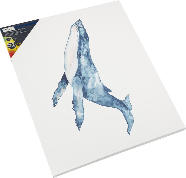Immagine prodotto Art Sensations Nassau (50 x 70 cm)