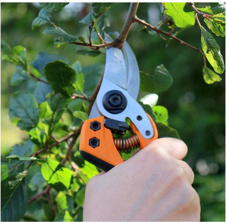 Immagine prodotto Fiskars Forbici da potatura Bypass PB-8 L 102
