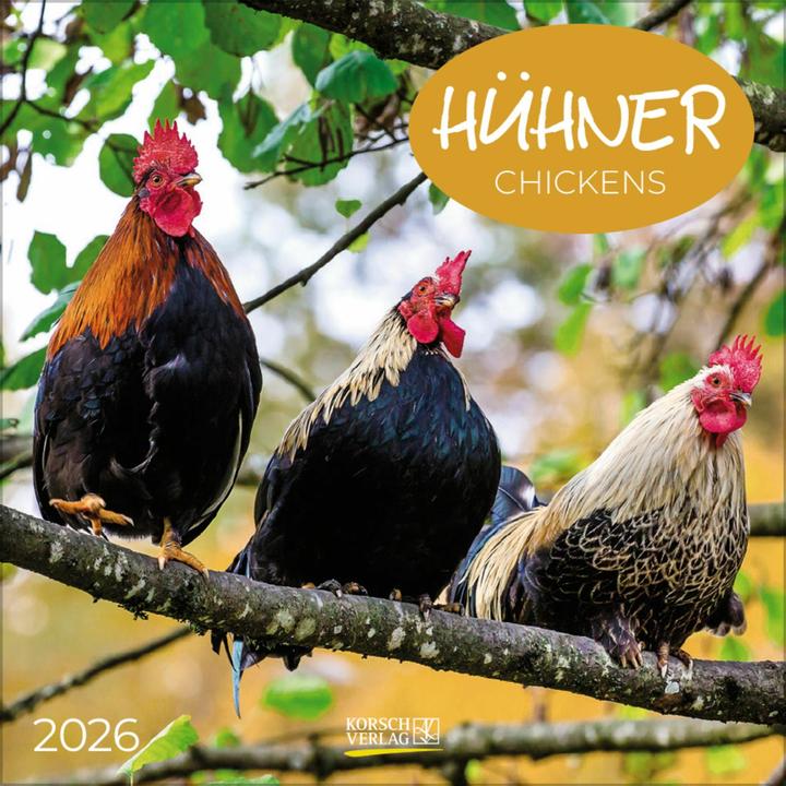 Produktbild Hhner 2026 (30 x 30 cm)