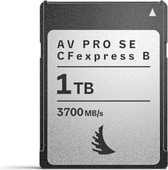 Angelbird AV PRO SE CFexpress B (1000 GB, CFexpress Typ B)