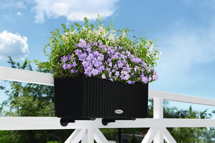 Actual product image Lechuza Trend Collection BALCONERA Cottage 50 all in one graphite black (50 cm)