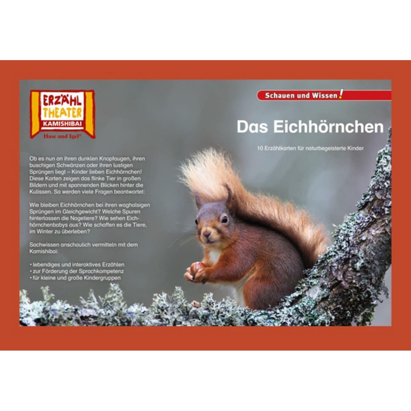 Kamishibai: Das Eichhörnchen, Schulbücher von Insa Janssen