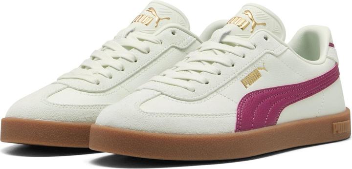 Rose, Sage Frost-Berry, Vert