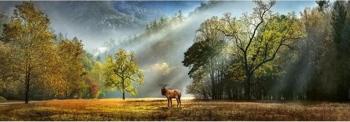 Immagine prodotto Heye Saluto mattutino Panorama (1000 pezzi)