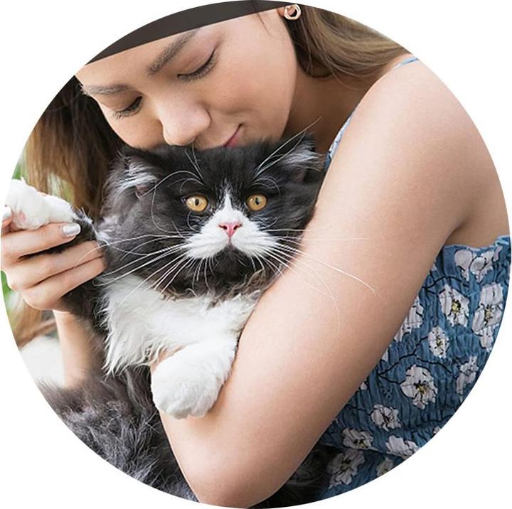 Produktbild Esmée Katzenhalsband - Apple AirTag Silikon Halterung + Reflektor / Glöckchen (Hund, Katze)