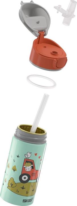 Actual product image Sigg Miracle WMB (0.40 l)