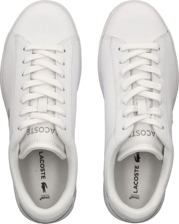 Image du produit Lacoste Sneaker (39)