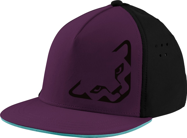 Dynafit Tech Trucker Cap Unisex (58)