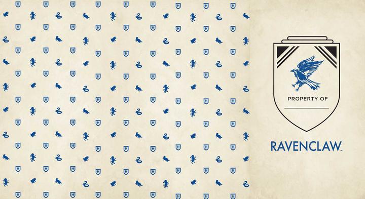 Actual product image Harry Potter: Ravenclaw Hardcover Ruled Journal (13 x 21 cm, Lined, Hardcover)