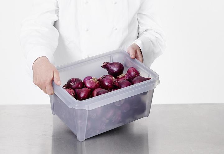 Immagine prodotto Ebnat SmartStore Dry Box grigio (40 x 30 x 20 cm, 12 l, 1x)