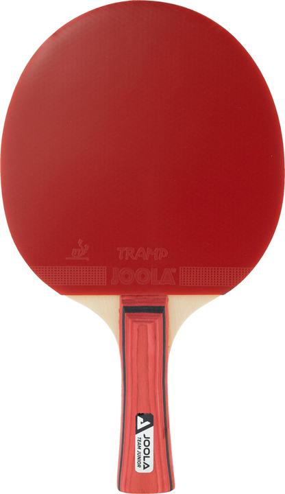 Immagine prodotto Joola Campione Junior-Team-Table-Tennis