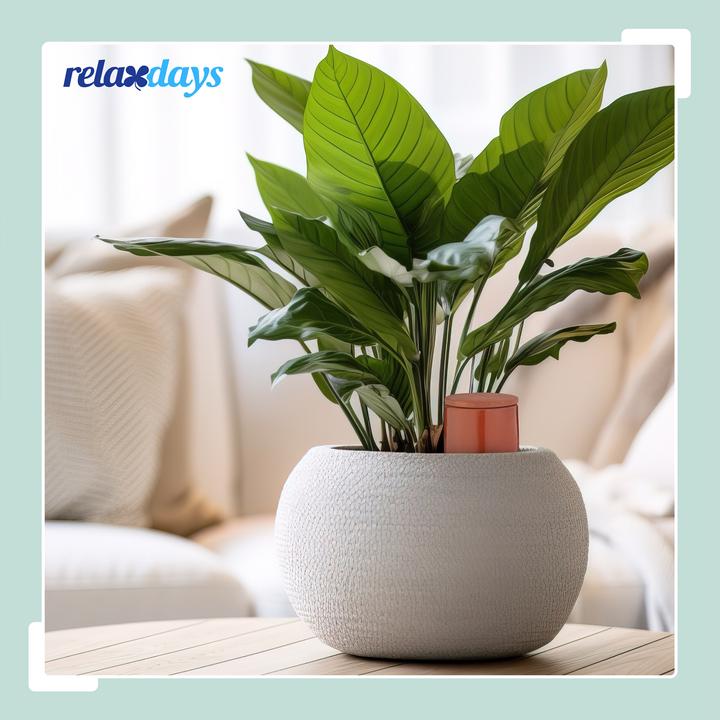 Productafbeelding Relaxdays 3x Tonkegel (Kleikegel)
