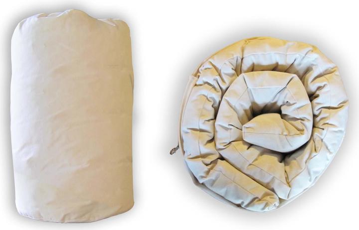 Europe & Nature Futon In A Bag (90 x 200 cm, Noyau naturel)