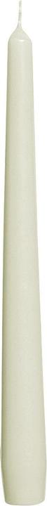 Actual product image Bolsius Spitzkerze 24,5x2,4cm elfenbein (1 pcs.)