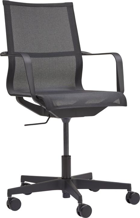 Actual product image micasa Sawyer (43 - 56 cm)