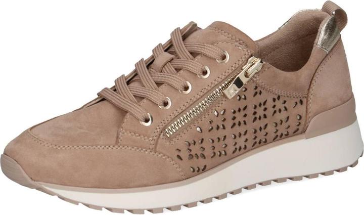 Peigne de sable, Sable