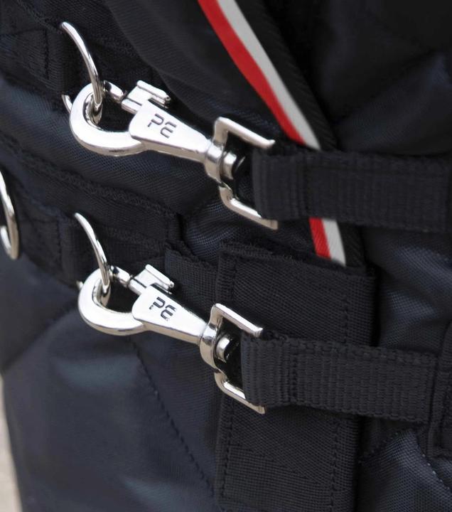 Produktbild Premier Equine 100g (221 cm)