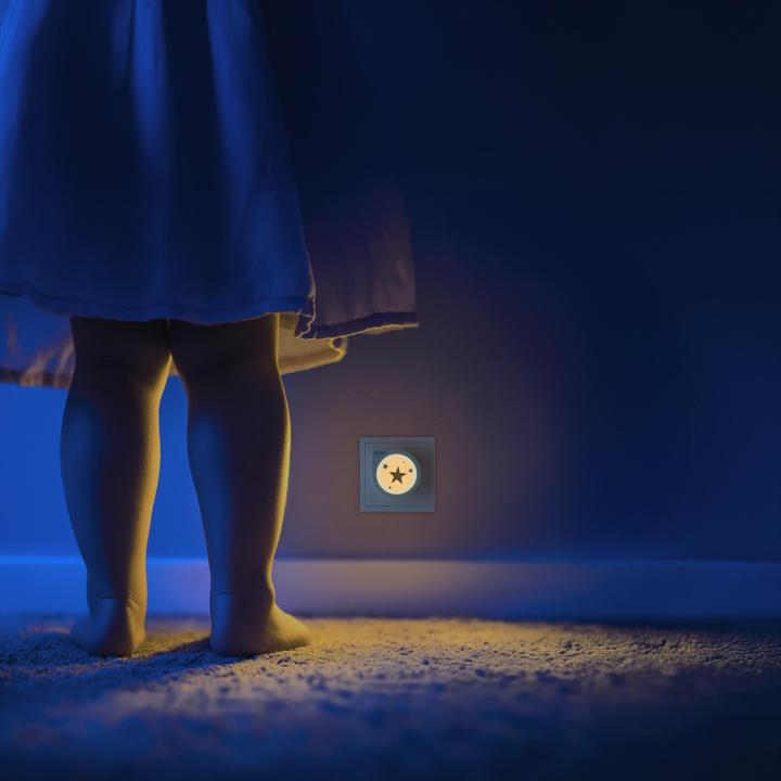 Productafbeelding Reer Nachtlicht m.Dämmerungssensor