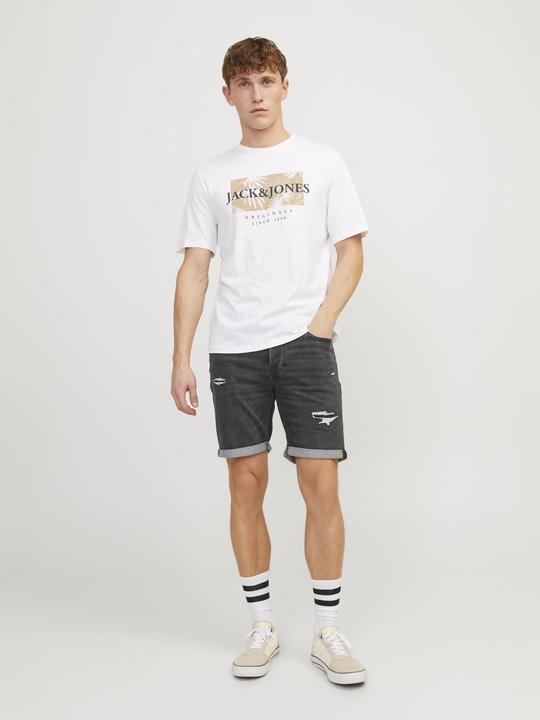 Image du produit Jack & Jones Regular Fit Short en jean Short en jean (L)